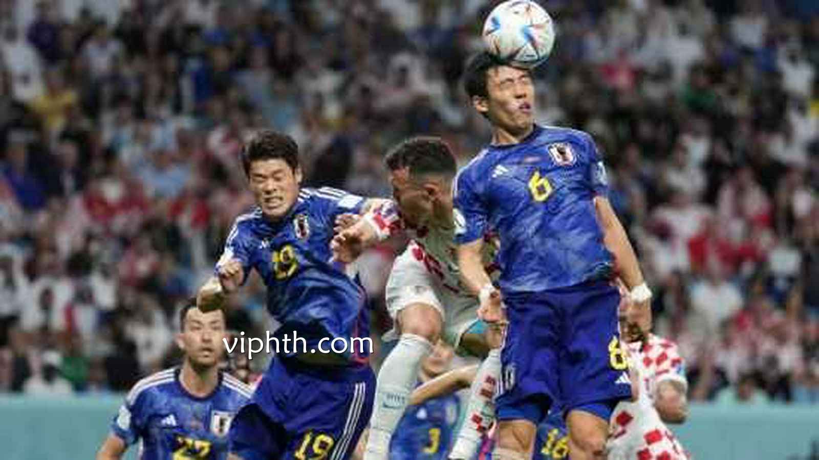 华体会 | 世界杯日本队赛事