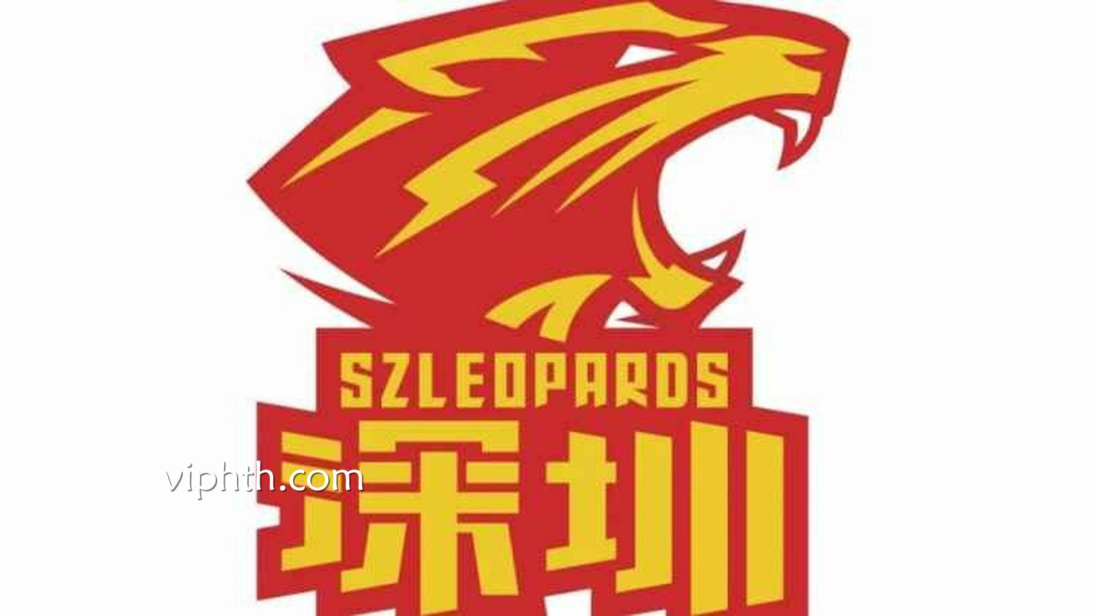 华体会 | CBA深圳队